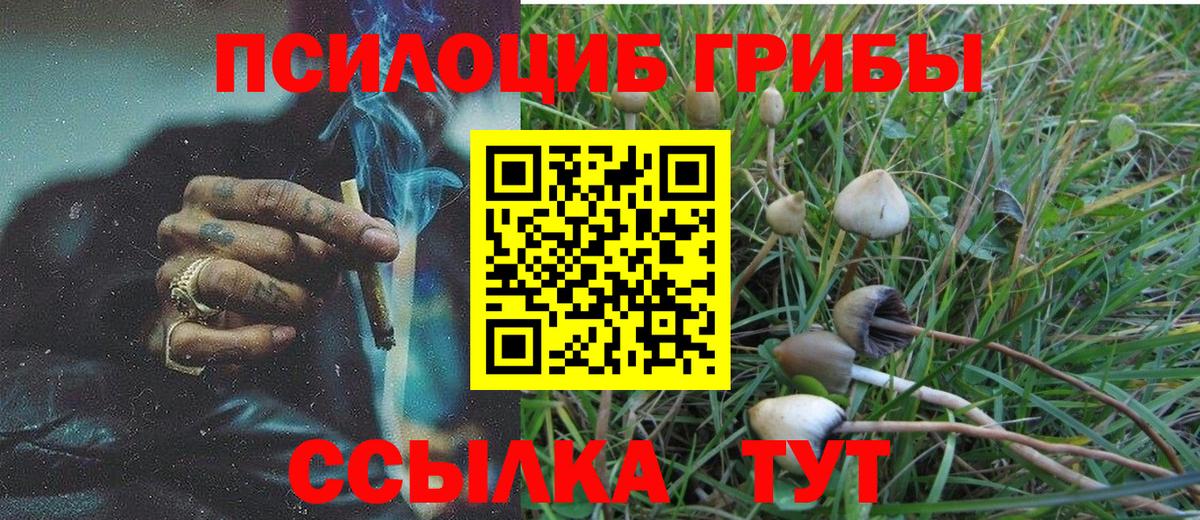 Псилоцибиновые грибы Psilocybe  Псилоцибиновые грибы Cubensis  Татарск  где купить наркотик  Вход с VPN 